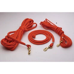 Dokken Puppy Check 2-In-1 Check Cord