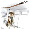 Kurgo Auto Zip Line-Leash / Zip Line Dog Combo 2 Kurgo Auto Zip Line-Leash / Zip Line Dog Combo -Camp Chairs Shop KUR00032 Auto Zip Line Leash Zip Line Dog Combo
